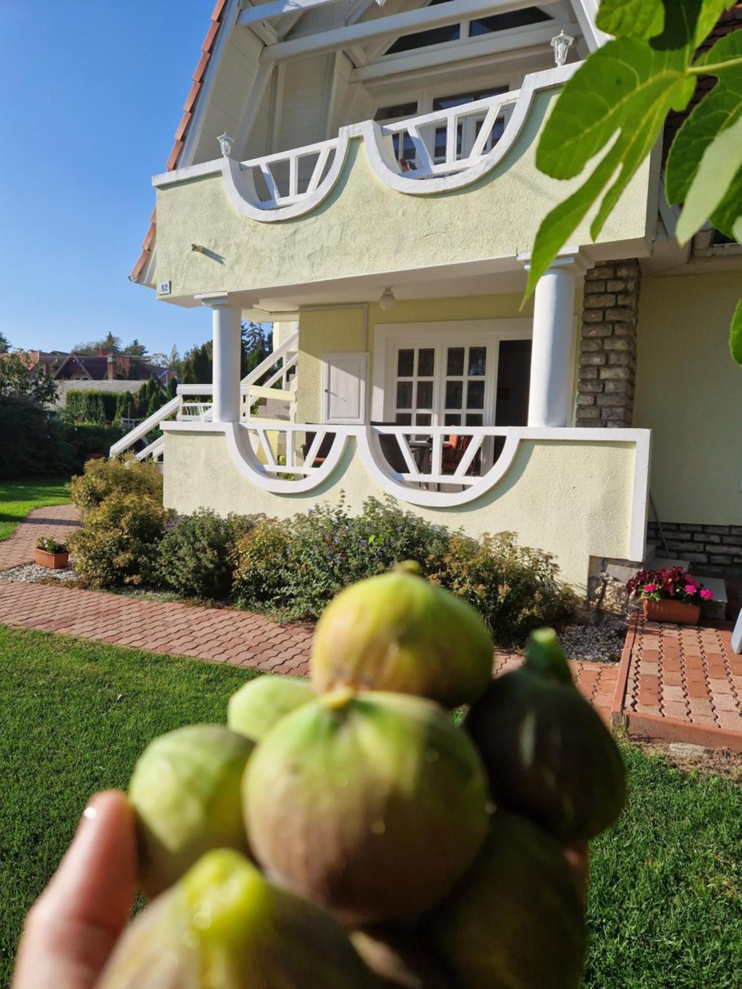 Balaton Apartman Fuered Balatonfüred Exterior foto